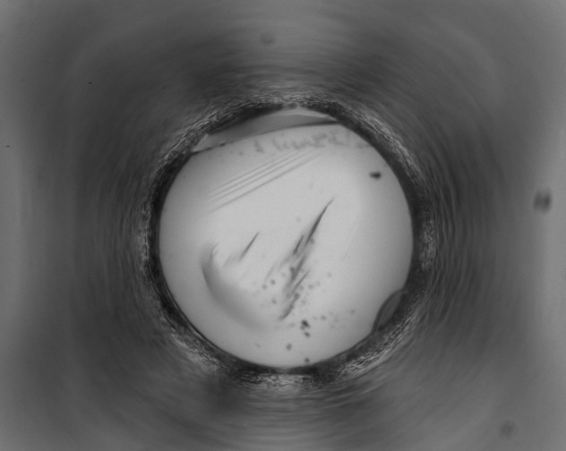 X0000099960497200806201340