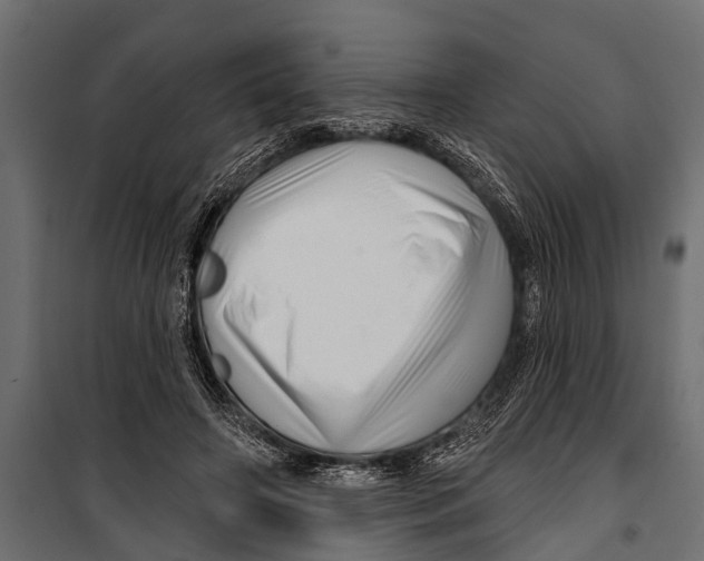 X0000099960498200806201340