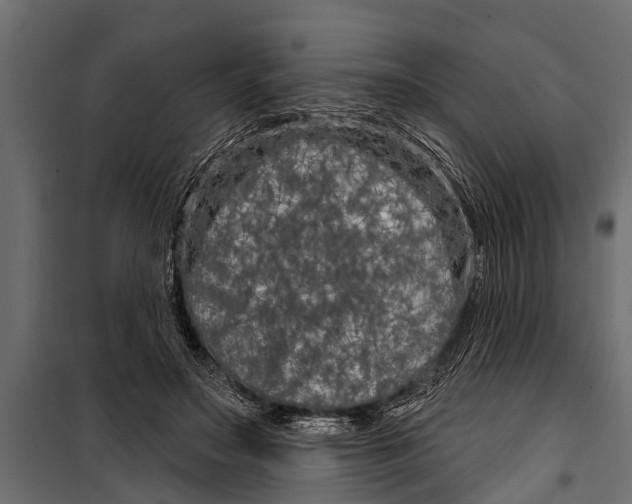 X0000099960499200806201340