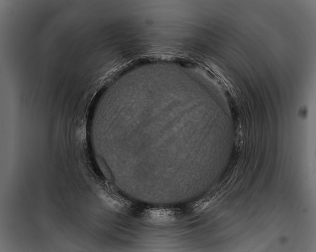 X0000099960500200806201340