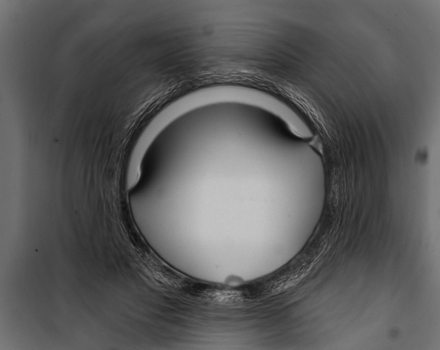 X0000099960501200806201340