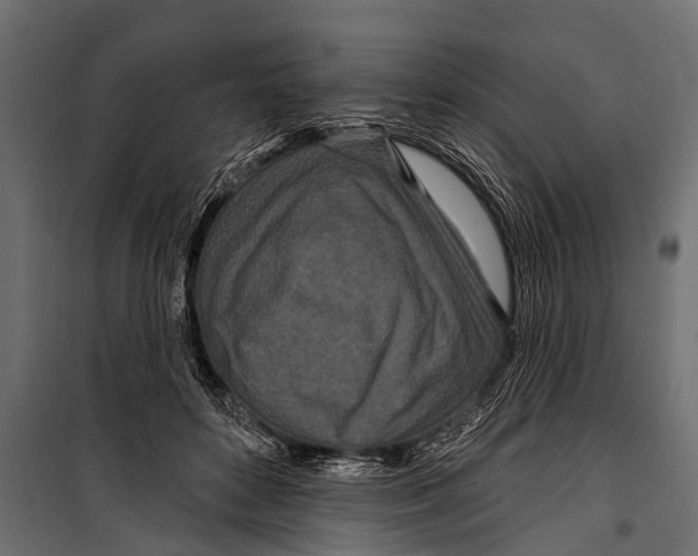 X0000099960504200806201340