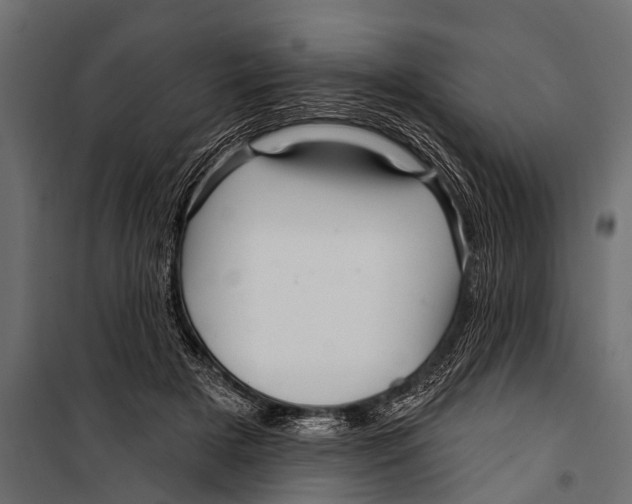 X0000099960505200806201340