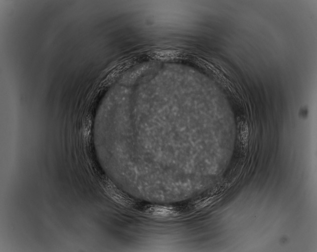 X0000099960507200806201340