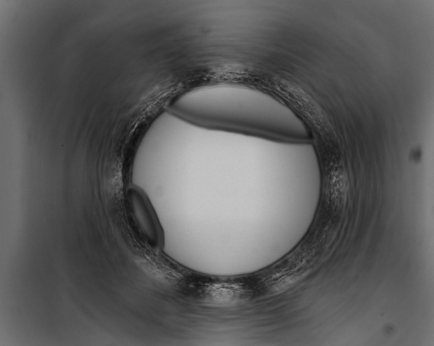 X0000099960508200806201340