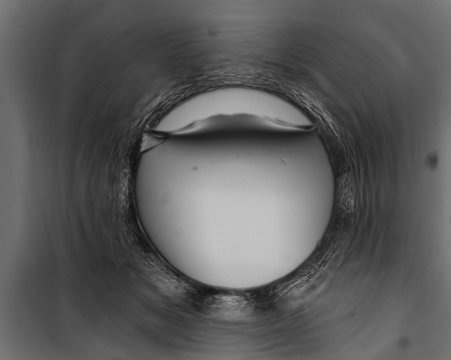 X0000099960509200806201340
