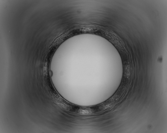 X0000099960510200806201340