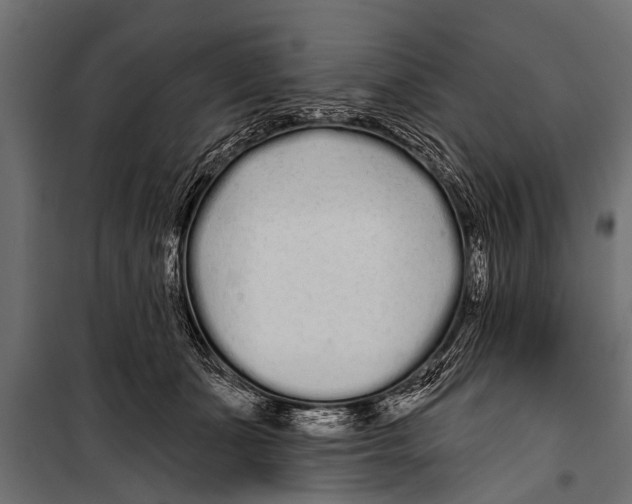 X0000099960511200806201340