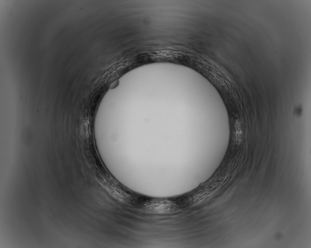 X0000099960514200806201340