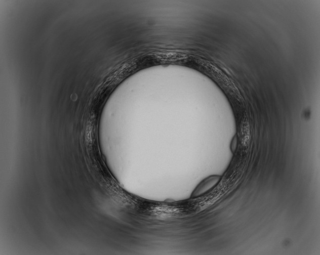 X0000099960515200806201340
