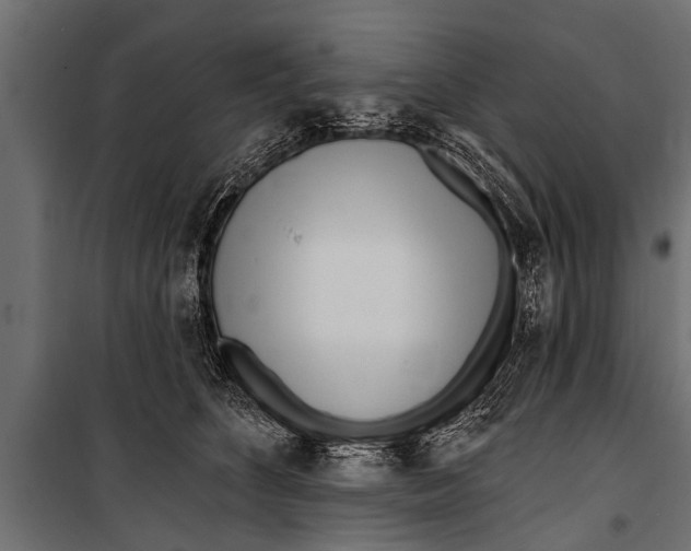 X0000099960516200806201340