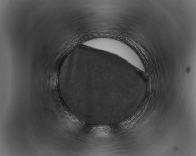 X0000099960517200806201340