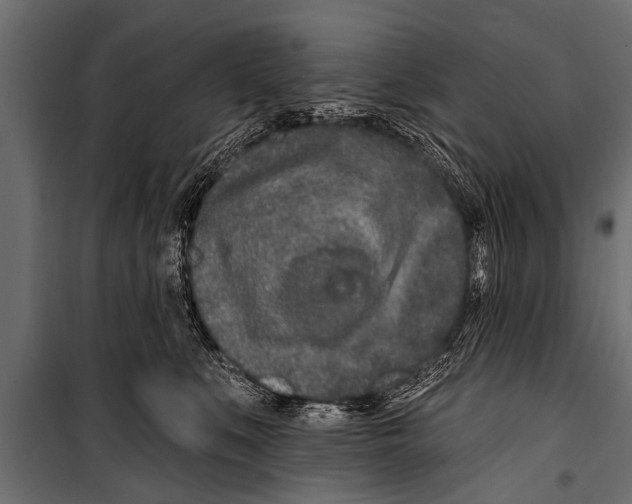 X0000099960519200806201340