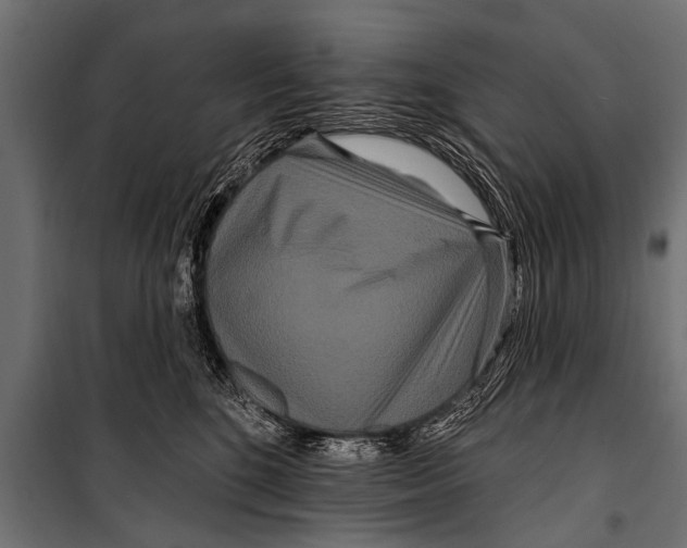 X0000099960520200806201340
