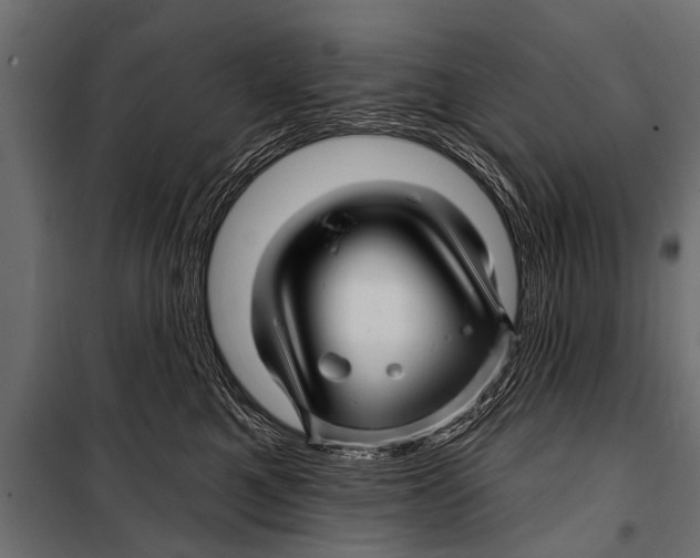 X0000099960521200806201340