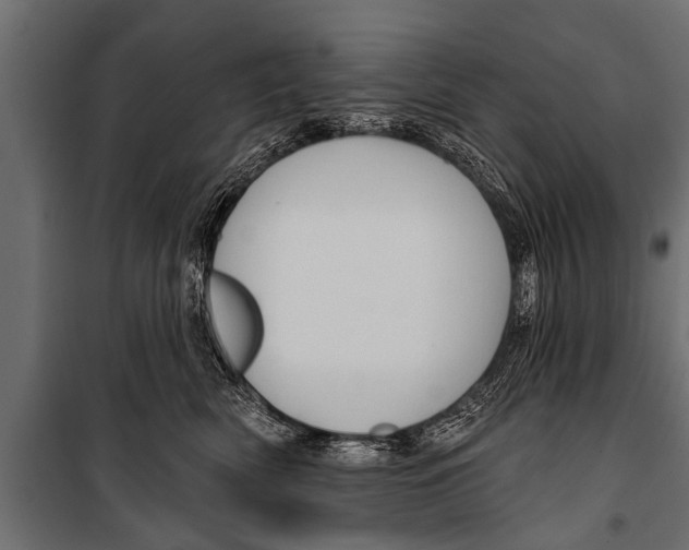 X0000099960522200806201340