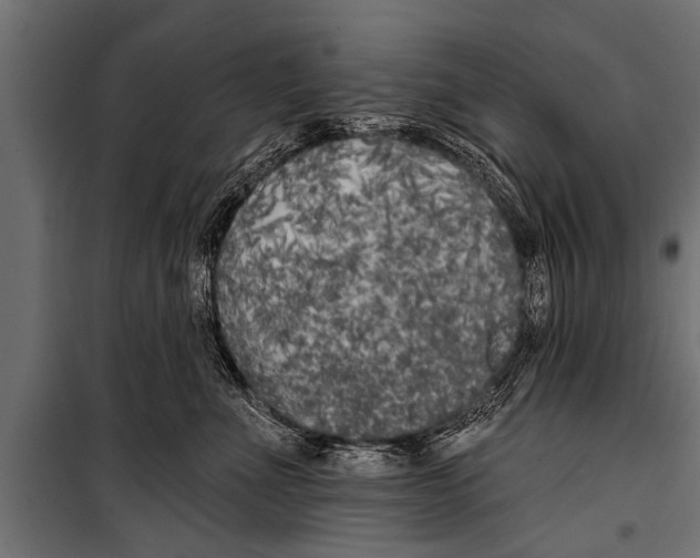 X0000099960523200806201340