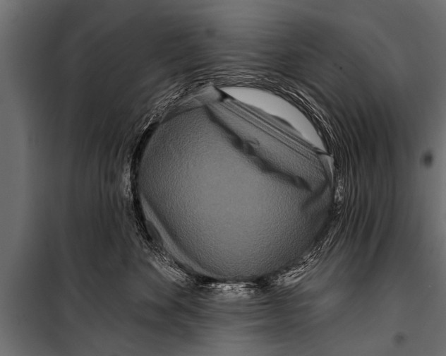 X0000099960524200806201340