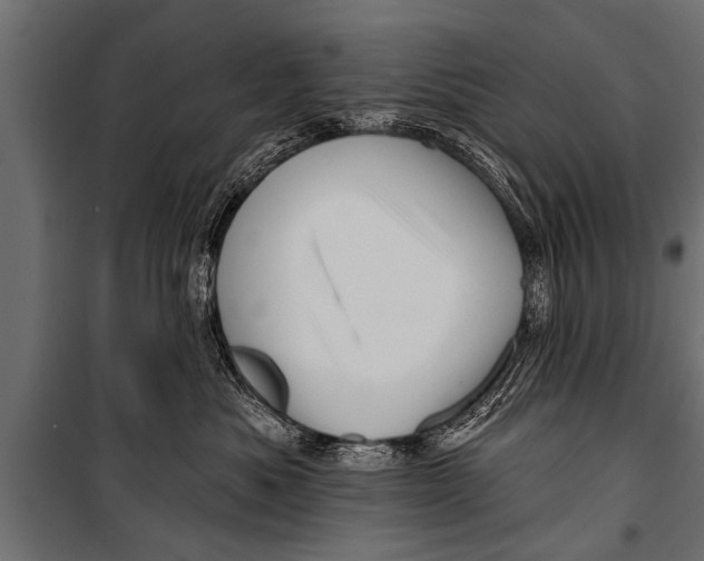 X0000099960525200806201340
