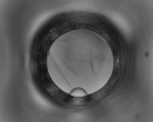 X0000099960526200806201340