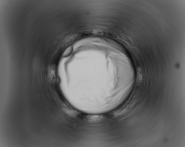 X0000099960527200806201340