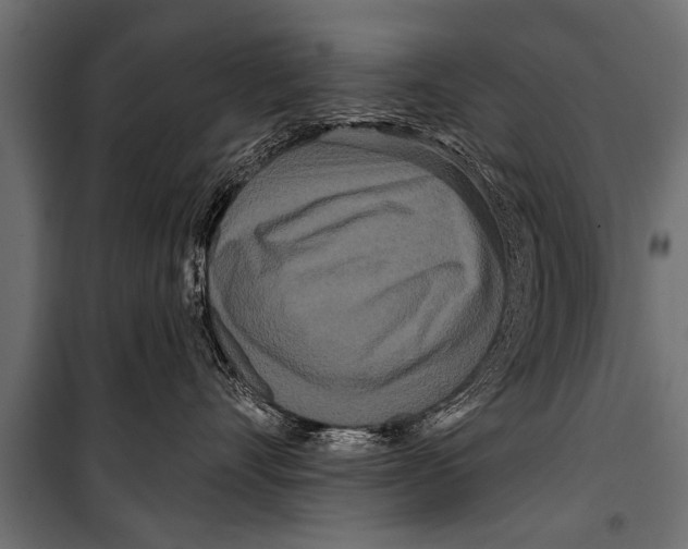 X0000099960528200806201340