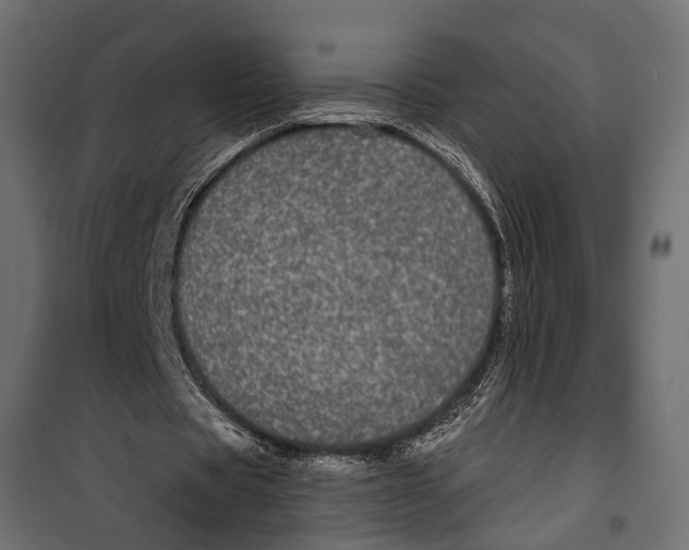 X0000099960529200806201339