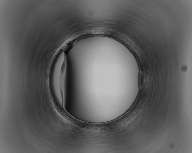 X0000099960530200806201339