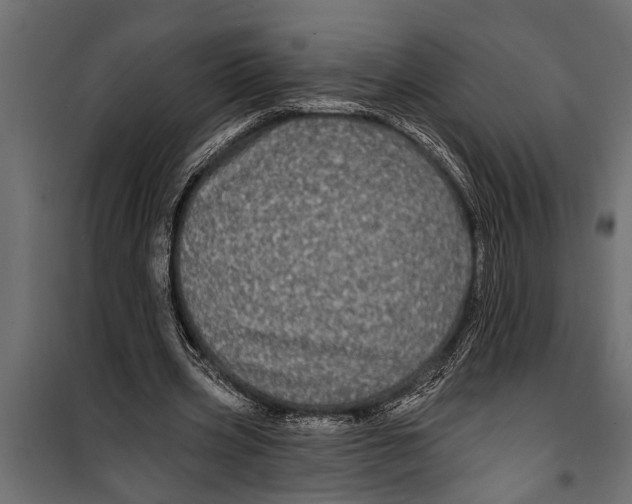 X0000099960533200806201339