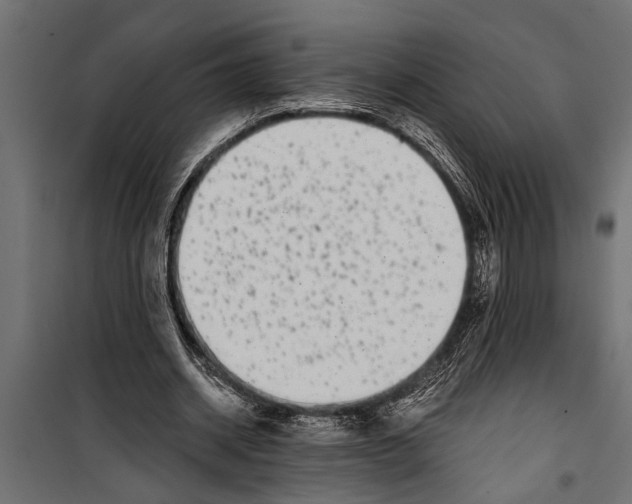 X0000099960534200806201339