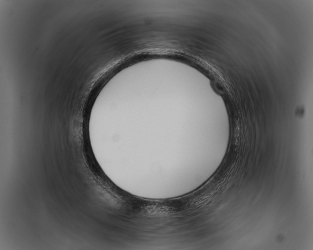 X0000099960535200806201339