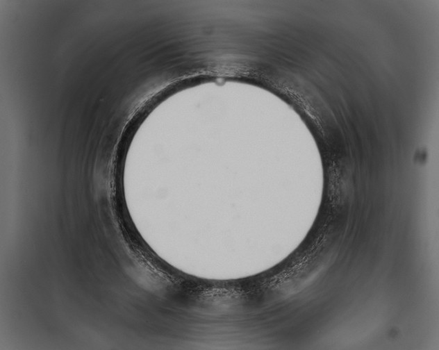 X0000099960536200806201339