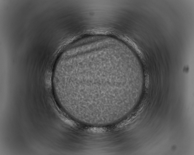 X0000099960537200806201339