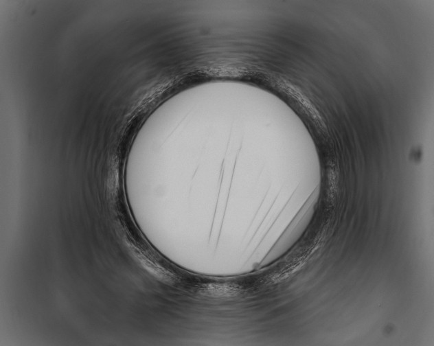 X0000099960541200806201339