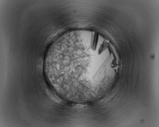 X0000099960542200806201339