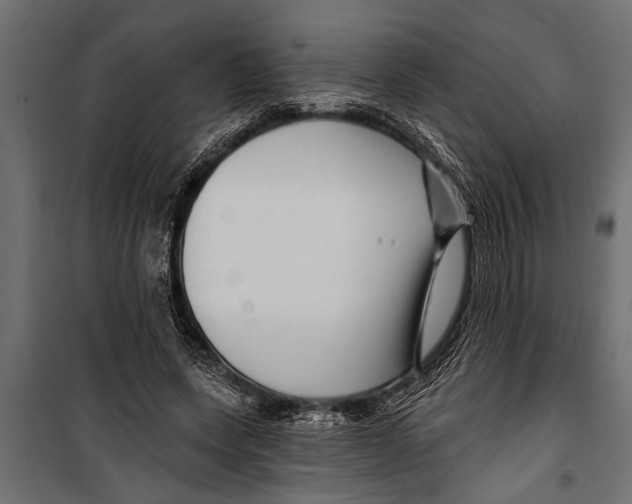 X0000099960543200806201339