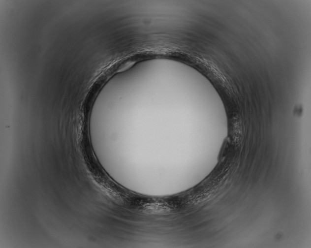 X0000099960544200806201339