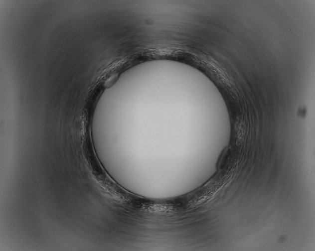 X0000099960546200806201339
