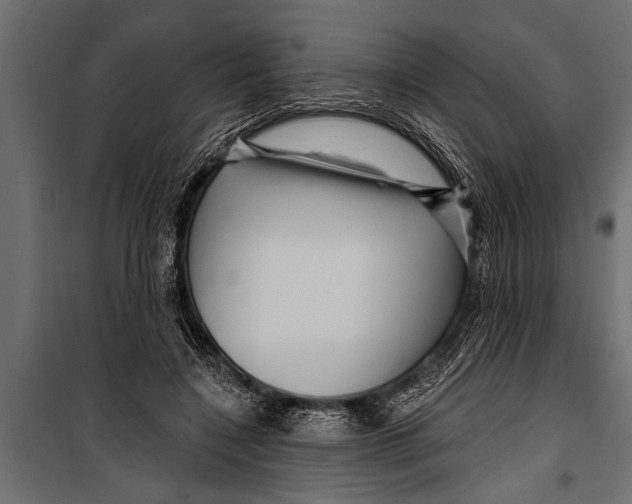 X0000099960548200806201340