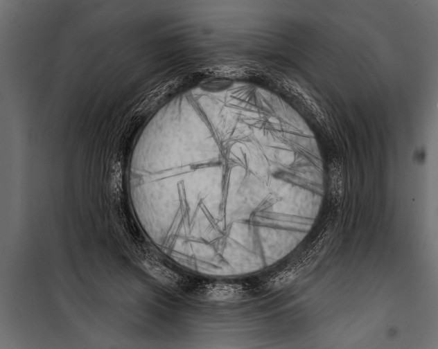 X0000099960549200806201340