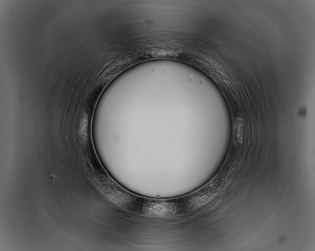 X0000099960550200806201340