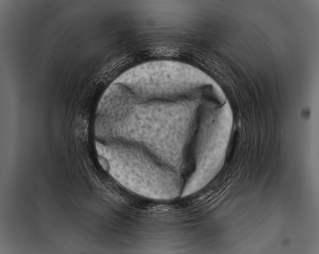 X0000099960551200806201340