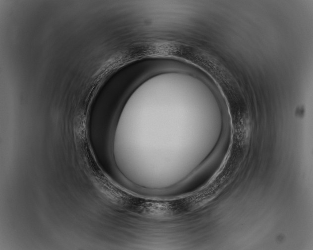 X0000099960552200806201340