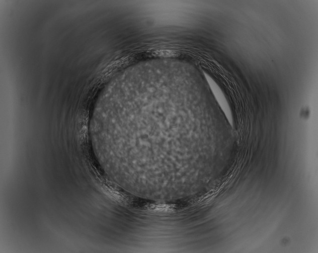 X0000099960553200806201340