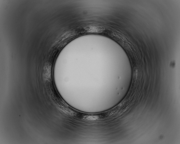 X0000099960554200806201340