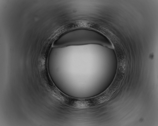 X0000099960556200806201340
