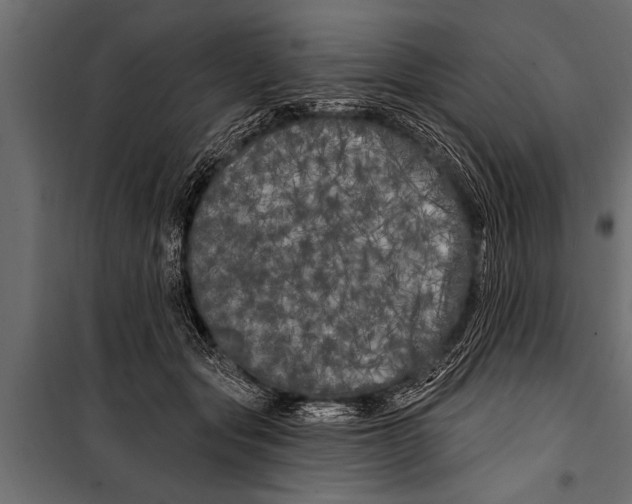 X0000099960557200806201340