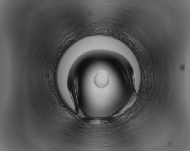 X0000099960558200806201340