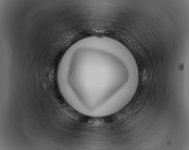 X0000099960559200806201340