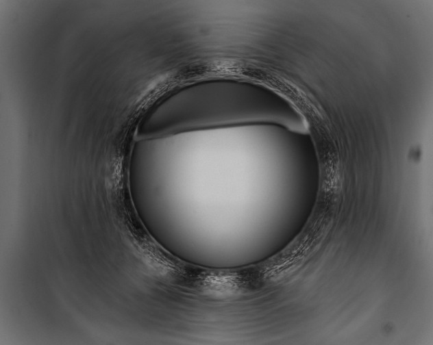 X0000099960560200806201340